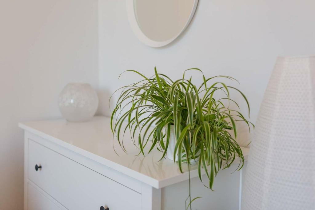 Historic Edinburgh 1890S Home Turned Relaxing Retreat 外观 照片